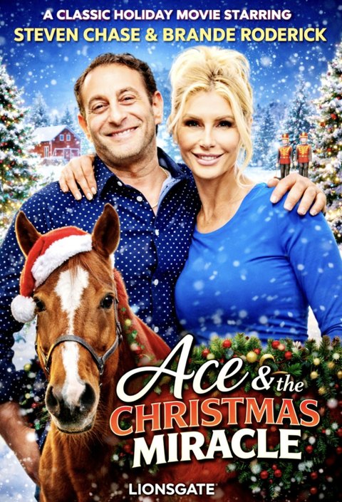 Ace & the Christmas Miracle poster